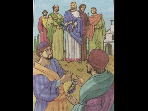 27/07/2014 - 10:00 - Missa do 17º Domingo Comum