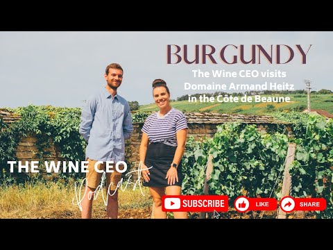 Burgundy: Wine Tasting in Cote de Beaune at Armand Heitz