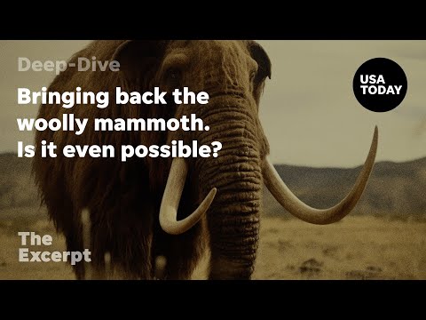 Bringing back the woolly mammoth. Is it even possible? The Excerpt