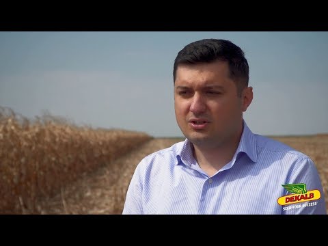 Performanța DEKALB la Ziua Porumbului 2018