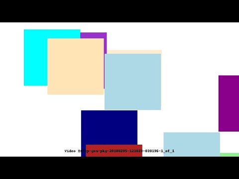 Video #sftp-gcs-pkg-20180205-121028-030196-1_of_1