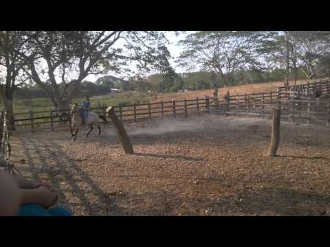 Condesa Hija de C Del Limon