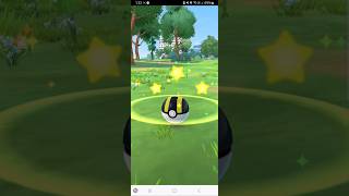 Small but huge CP Pokemon #pokemongo #packbattle #pokemoncards #pokemon #shinypokemon
