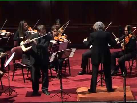 Mercadante, Flute concerto in E minor (extract) - Fabricio Fornero (flute)