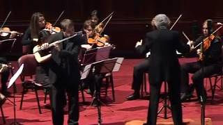 Mercadante, Flute concerto in E minor (extract) - Fabricio Fornero (flute)