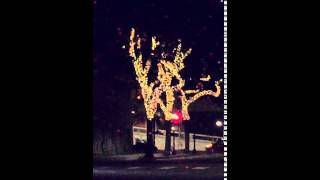 Murray D.R.A.M. Crismisss 😂