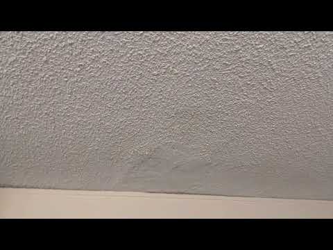 Embassy Suites By Hilton - Four hour delay to check in leaking mold covered room - Image 2