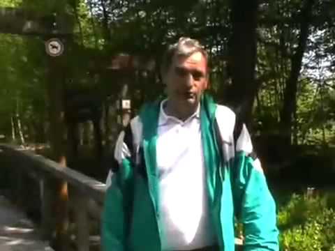 Volksfreundtv Volkswanderung in Reinsfeld