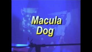 Macula Dog Live at Red Light Far Rockaway