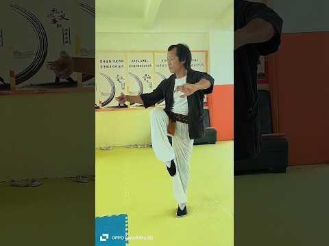 JKD FIGHT TRAINING – SELF-DEFENSE Drill Masterclass #kungfu #martialarts