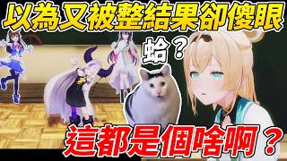 Iroha受邀參加拉普演唱會時感覺事有蹊蹺擔心又要被整了結果卻讓她超傻眼當場變成了迷因貓ww【風真Iroha／風真いろは】【ホロライブ切り抜き】【HOLOLIVE中文】
