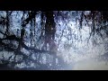 **MAYRA ANDRADE - PLENA ~~**