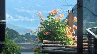 Holger Schindler - Perfect World