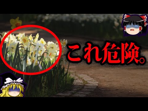 庭にある最も危険な有毒植物10選 自然と動物