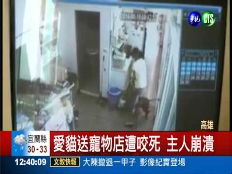 愛貓寵物店美容 竟遭狗活活咬死