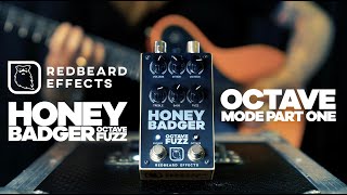 Video thumbnail for Honey Badger™ Octave Fuzz | Octave Mode - Part One by Redbeard Effects