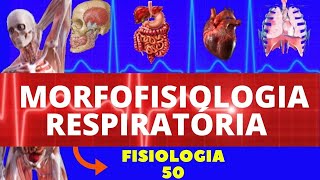 FISIOLOGIA RESPIRATÓRIA (ESTRUTURA E FUNÇÕES GERAIS) - SISTEMA RESPIRATÓRIO - FISIOLOGIA DE GUYTON