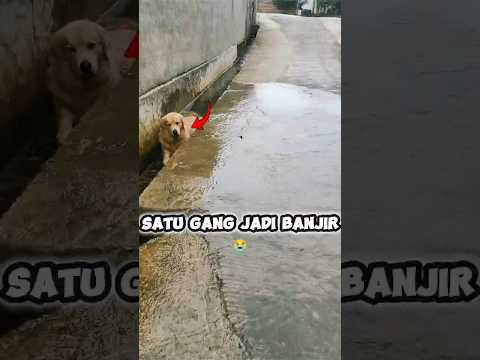 Padahal cuma pengen berendam 😂