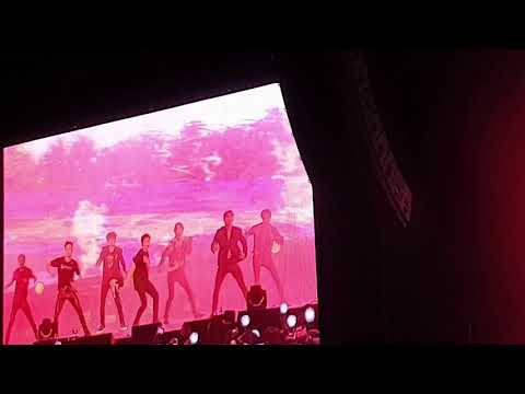 Monsta x paris alligator