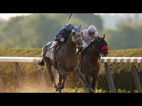 BREEDERS' CUP CLASSIC | ESSENTIAL QUALITY, KNICKS GO, HOT ROD CHARLIE & MORE!