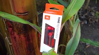 JBL Tune 110 Review Epic !