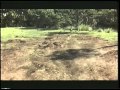 Le Dinosaure Bande Annonce QC