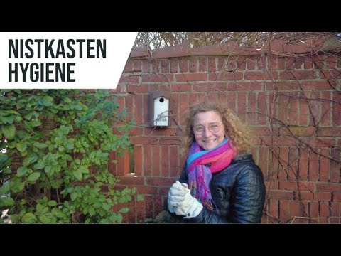 Nistkasten-Hygiene einfach erklärt | Vogelgarten GmbH