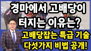 #고배당 잡는 경마분석! 5가지 비법 大공개!!