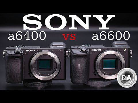Sony a6400 vs Sony a6600 |  Which to Buy?