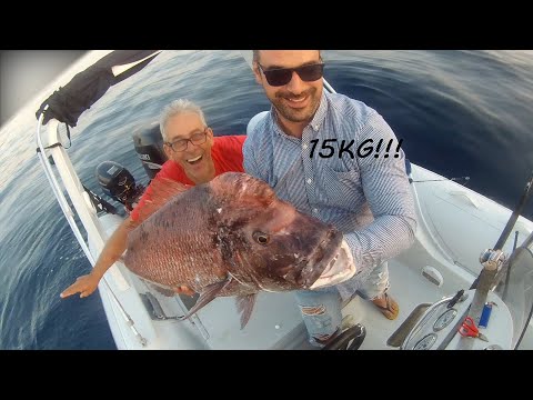 Ψάρεμα κορωνάτο με ζόκα. Male snapper fishing with zoka ball 15KG !!!!