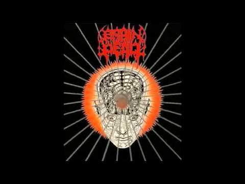Brain Dead - From The Ecstacy