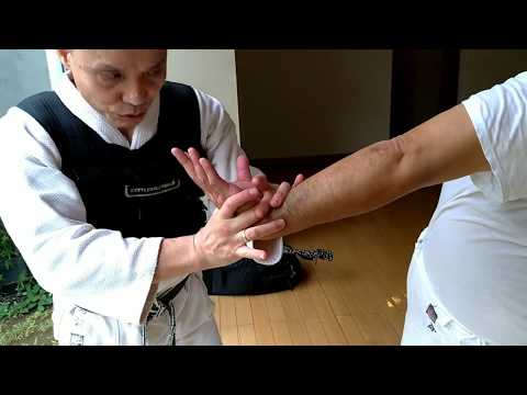 日本拳法の関節技。回し捕り