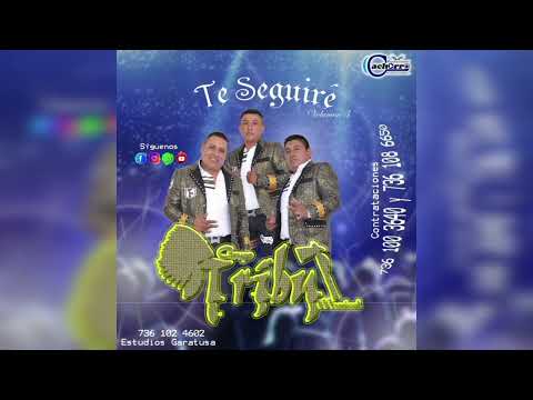 Grupo Tribu Musical – La Perruchis (2022)