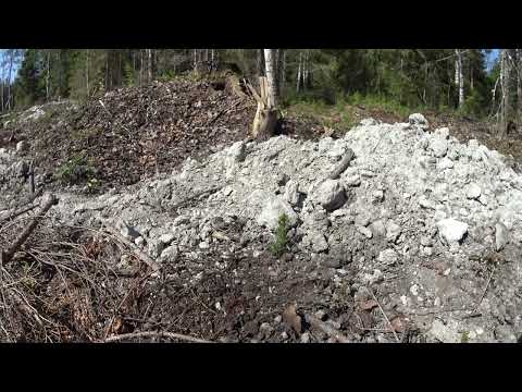 Metsolan metsäkoulu 288 - Kun istutuspalvelu menee pieleen - kaksi virhettä