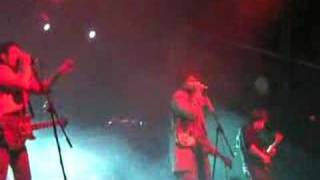 Sunburn Vs. The Rhinovirus - The Matches