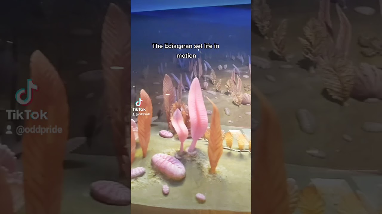 let's sing the geologic time song!