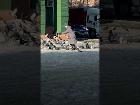 Работа смм-редакции, когда телеграм блокируют