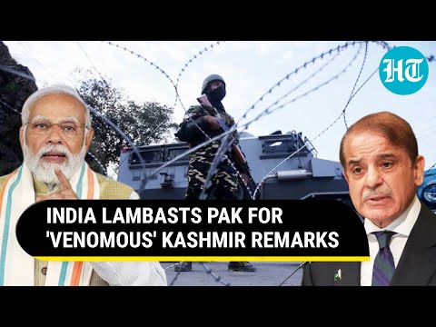 India Castigates Pak for Raking up Kashmir at UN; "Those Soaked in Bigotry..." | Watch