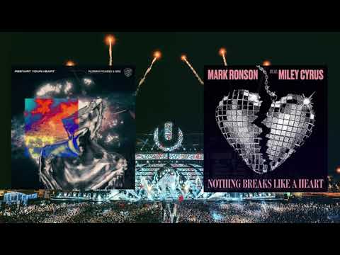 Florian Picasso & GRX Restart Your Heart vs  Nothing Breaks Like a Heart (Martin Garrix Mashup)