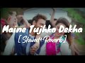 Maine Tujhko Dekha (Slowed+Reverb) Song || Golmaal Again song - Maine Tujhko Dekha