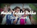 Maine Tujhko Dekha Slowed Reverb Song Golmaal Again Song Maine Tujhko Dekha