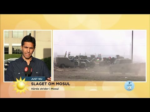 Hårda strider i Mosul: "Civila kan användas som mänskliga sköldar" - Nyhetsmorgon (TV4)
