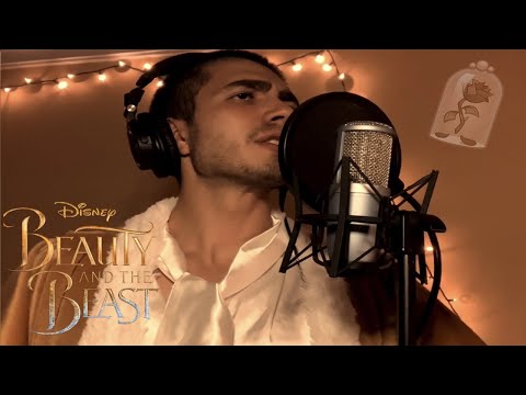 Baritone Sings: Evermore - Josh Groban (Disney cover)