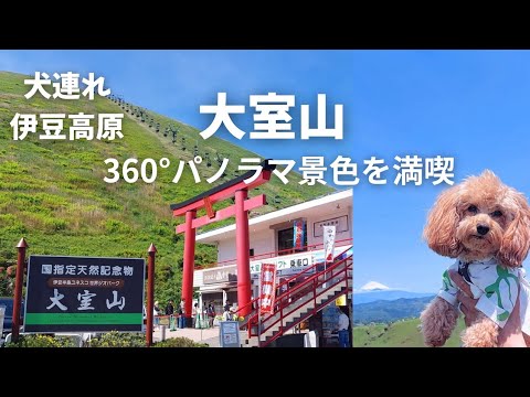 YouTube動画を再生