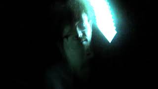 The Burmese Days - blackie (official video)