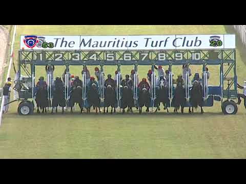 RM5 R3 | Kamadeva | D.David