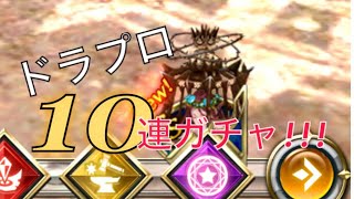 【ドラプロ】10連ガチャ引いてみた☆