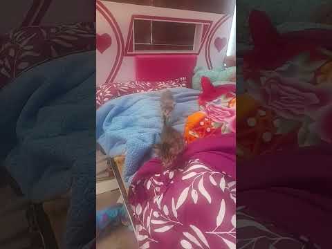 2 de noviembre de 2023