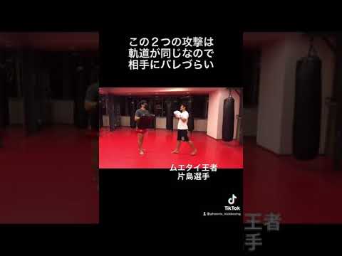三ケ月蹴りと左ミドルのコンビネーション！