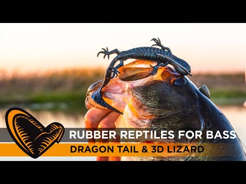 Rubber Reptiles for Bass - Dragon tail and 3D Lizard